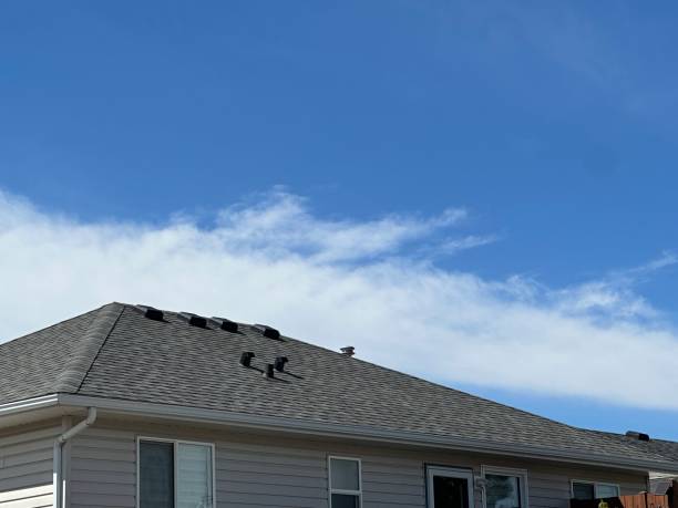Best Asphalt Shingle Roofing  in Bridgetown, OH